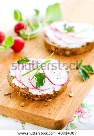 Soft cheese, radishes and chives  on bread