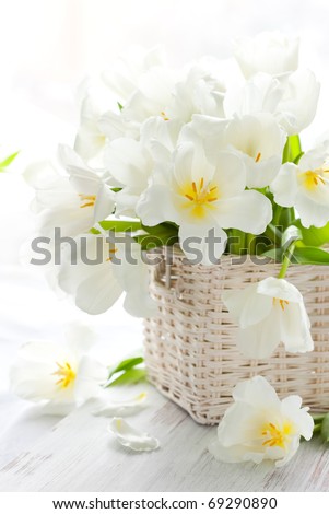 white tulips in a basket on the wooden table