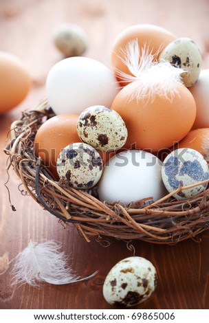 Different types of eggs in a  nest with feathers on a wooden table