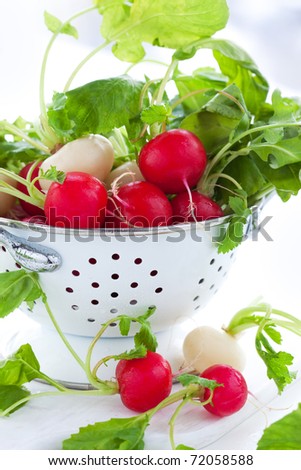 Fresh red and white radish