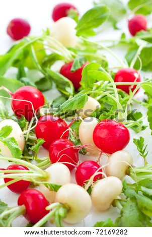Fresh red and white radish