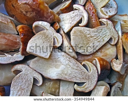 fresh edible boletus (mushroom) heap with cap and stalk diversity, seasonable environment details