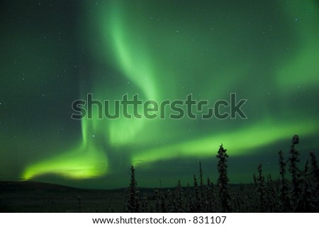 Active splitting aurora borealis arc in the middle of alaskan night