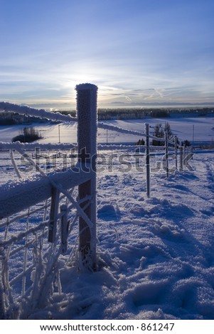 FROZEN: hoared fence with counted light from the SUN