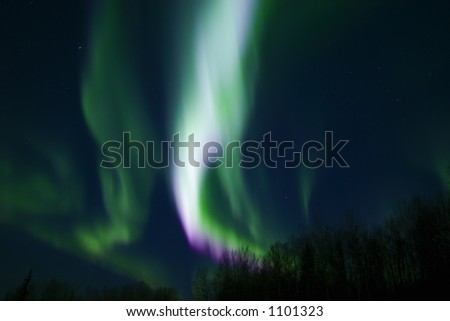 Colors of northern lights (aurora borealis) over trees
