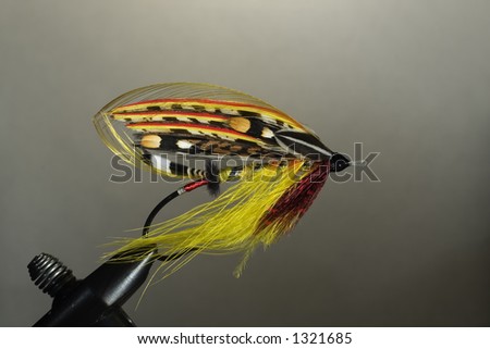 One of the classic atlantic salmon flies. Full-dress. Nearly a 100 if not more steps in this fly