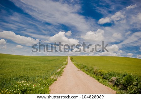vibrant image of country road