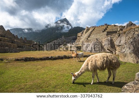 Machu Picchu, UNESCO World Heritage Site. One of the New Seven Wonders of the World.