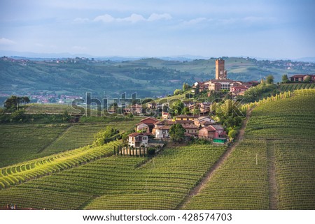 Panorama of Piedmont vineyards and Barbaresco town