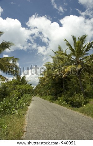 palm road