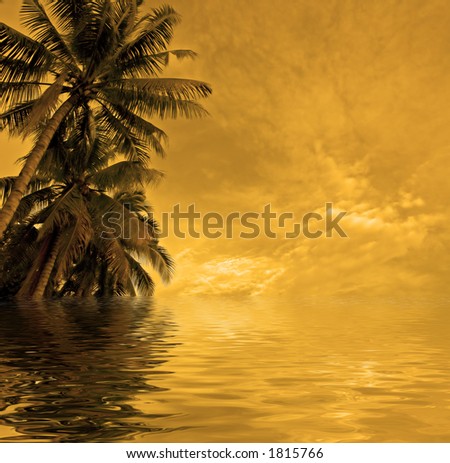sunset beach background. stock photo : sunset beach