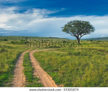 countryside landscape, tree standing in the field