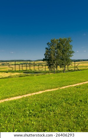 rural landscape with two trees
