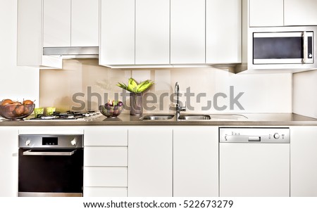 Modern kitchen interior illuminated with lights, oven and gas cooker have attached to the pantry cupboard, flower pot near the wash basin, ceramics and fruits close to cookers.