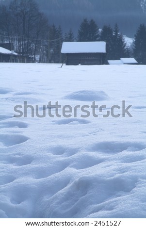 Snow covered winter homes. Shallow DOF, focus on the footsteps on the foreground. Shot with blue filter.