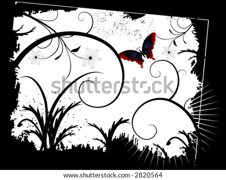 butterfly wallpaper border. utterfly wallpaper image