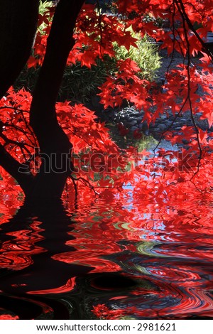 Japanese garden with bright red maple and dark branches.