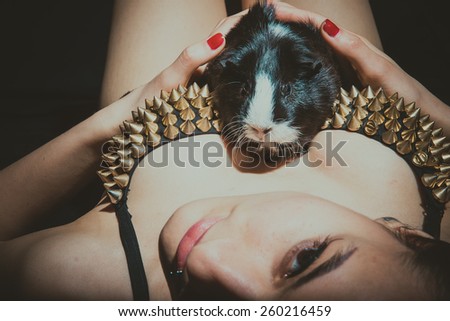 Guinea pig crawling on the female breast