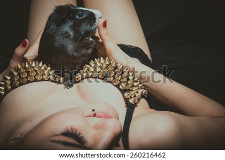 Guinea pig crawling on the female breast