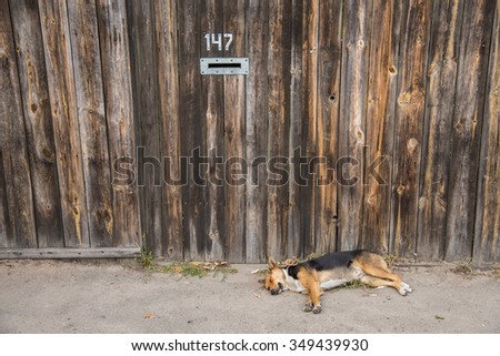 A guard dog protects private property