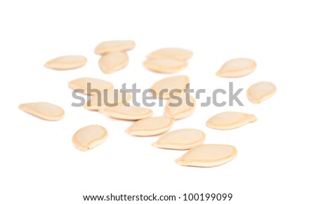 squash seeds isolated on white background