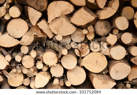Firewood texture, after the sawing wood
