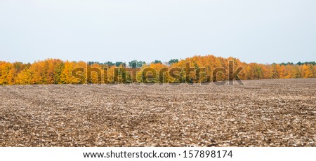 autumn landscape fields and trees on the background