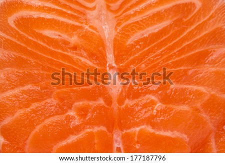 raw salmon steak  background
