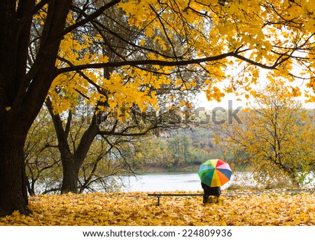 A colorful umbrella in the rain in yellow fall leaves