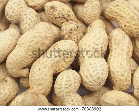 Macro of roasted peanuts in the shell