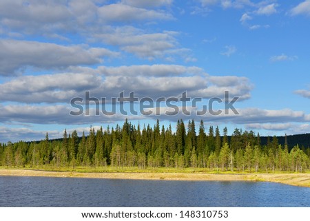 Northern landscape. Light and shade. Northern Finland