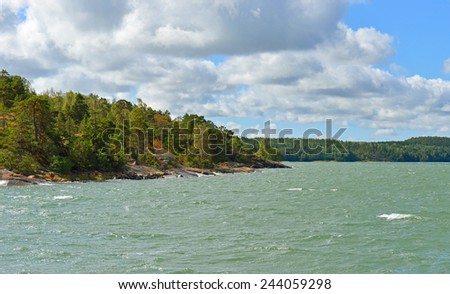 Sea with waves and rocky shore with forest