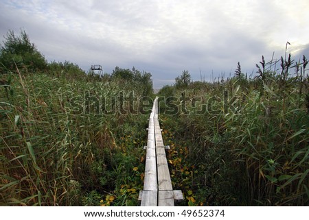 Board-walk road to heaven