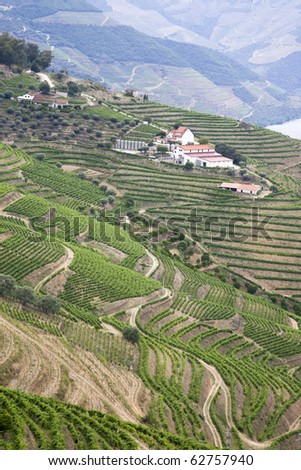 The douro vineyards, Port wine farm with the UNESCO world heritage slopes.Porto, Portugal