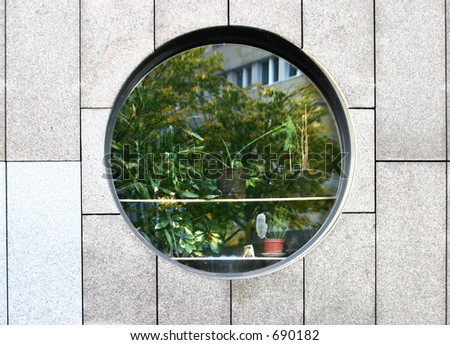 round window with plants