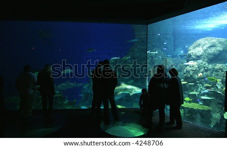 people silhouettes on aquarium background in Denver