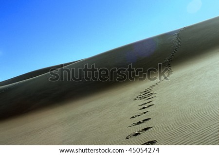 Footsteps in the sand dunes