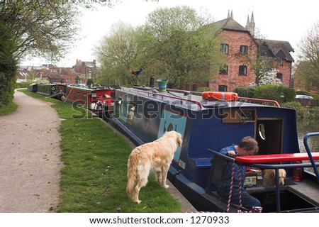 Dogs with blue narrow-boats along canal towpath