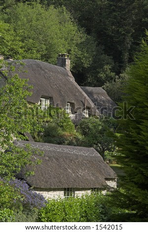 pair of thatched cottages nestled in woods
