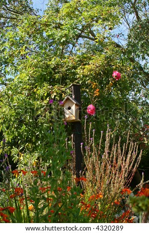 Garden with flowers,trees and bird house