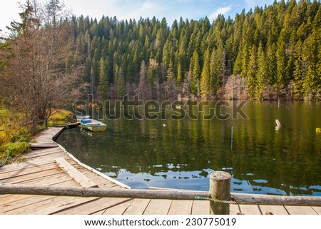 Lacul Rosu the Red Lake or Killer Lake, Eastern Carpathians, Romania