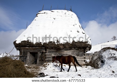 Winter scene in mountains with an old cottage a horse and snow in a snowy weather
