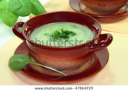 Herb soup garnished with fresh sorrel