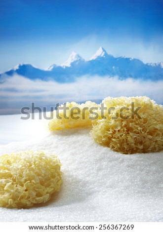 Natural snow fungus, in the snow background