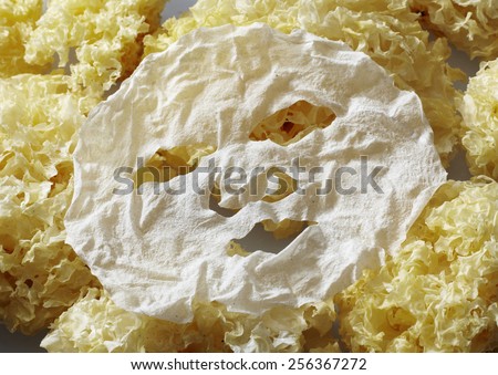 Natural snow fungus mask on fungus background