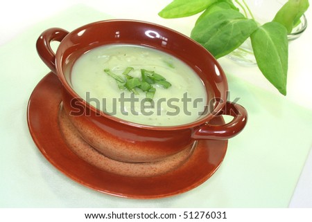 Sorrel soup with fresh sorrel soup in a cup on a napkin