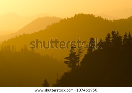 Golden light hitting the mountains as seen from Morro Rock in Sequoia National Forest.
