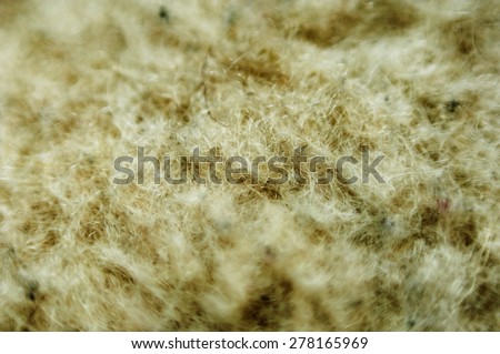 white wool felt texture - soft non-woven cloth background