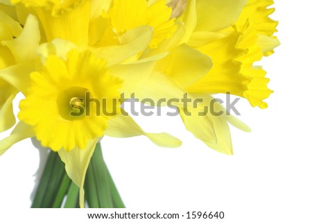 White Daffodils Bouquet