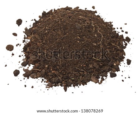 dirt isolated on white background